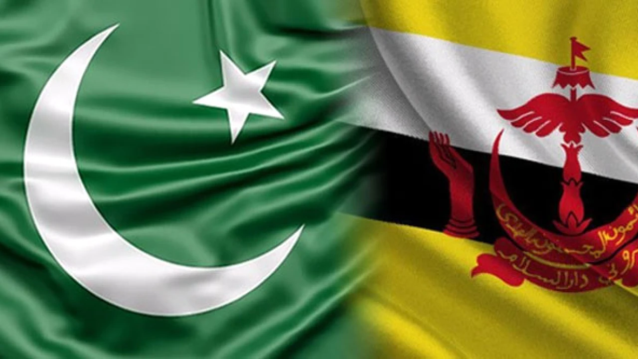 Pakistan, Brunei affirm commitment to further reinforce bilateral relations