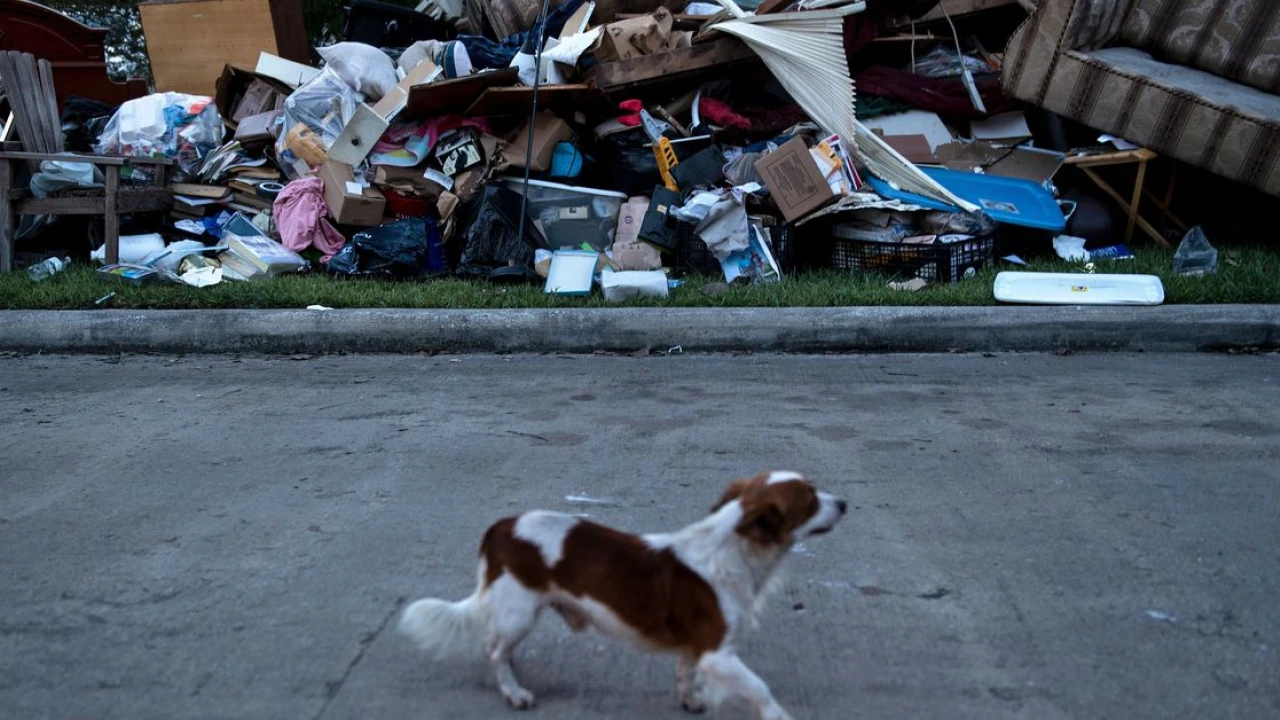 Look closely, and you’ll find America’s ‘climate abandonment areas’