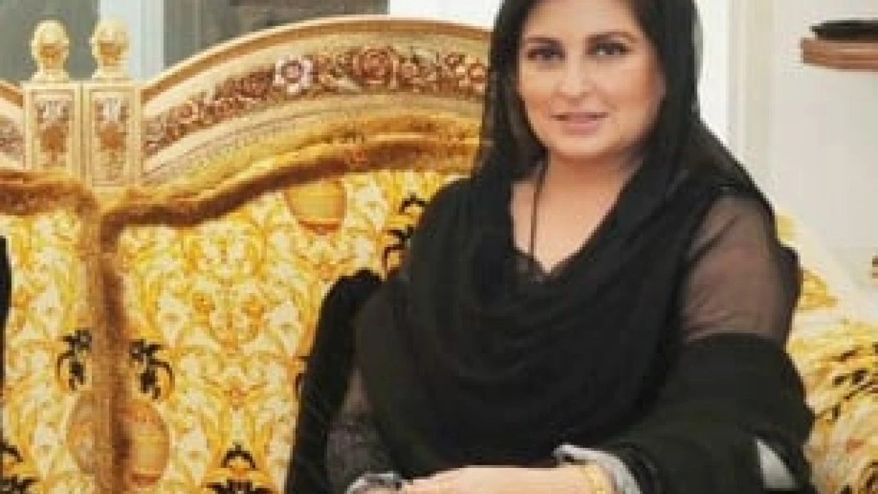 Sumaira Malik parts ways with PML-N