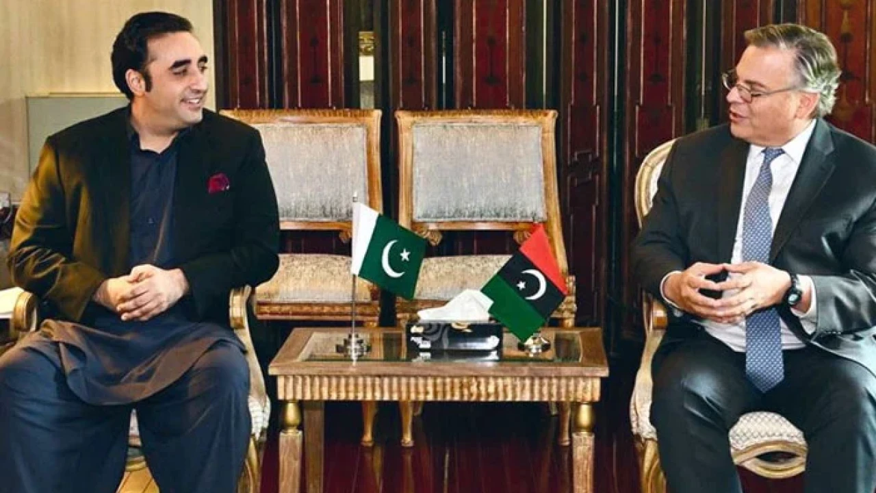 Bilawal meets US ambassador, discusses important issues