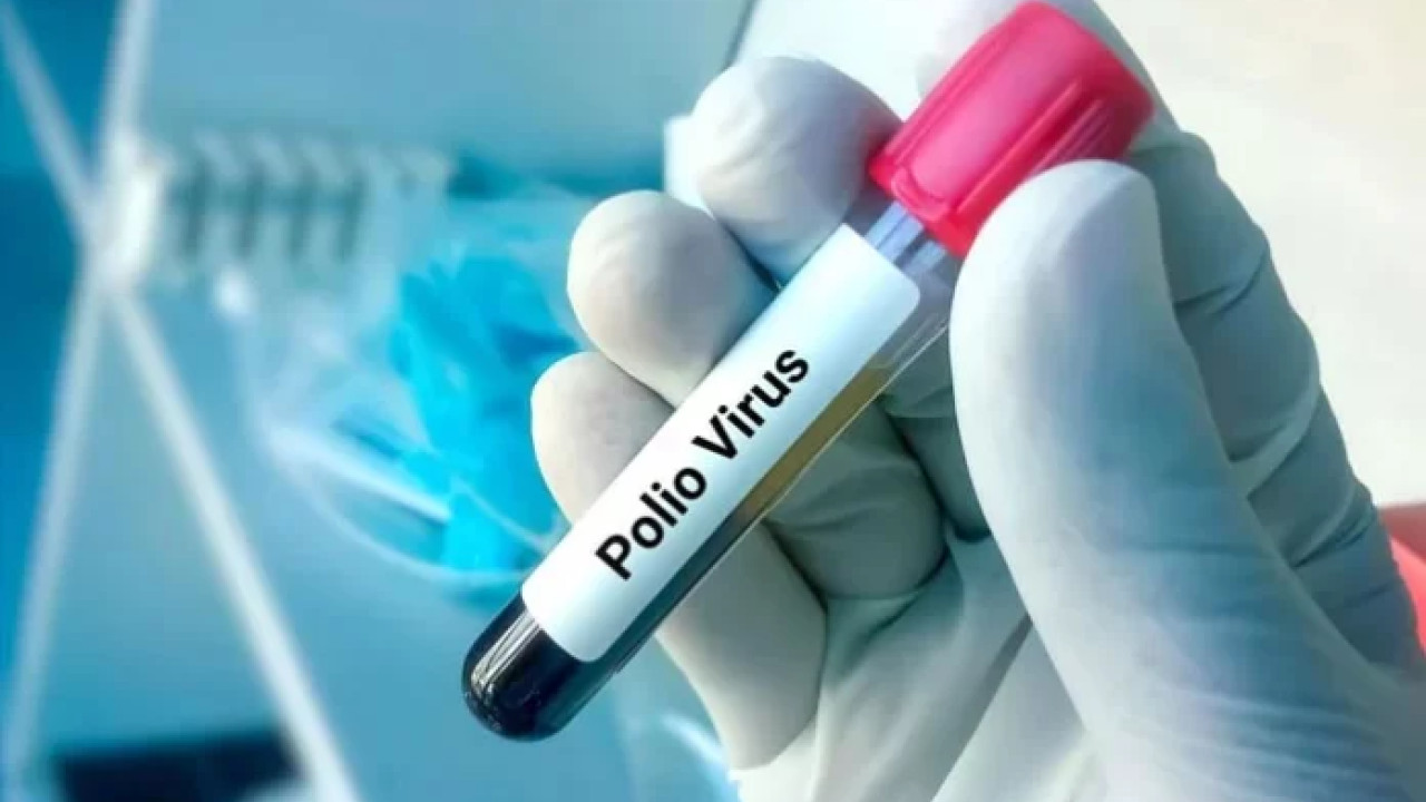 بلوچستان اور خیبرپختونخوا  میں  2 ماحولیاتی نمونوں میں پولیو وائرس کی تصدیق