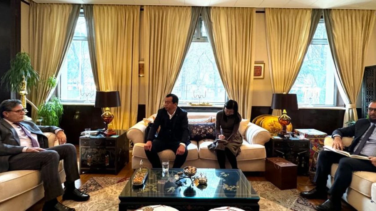 Chairman Shandong Xinxu Group meets with Ambassador Hashmi in Beijing