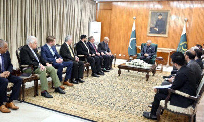 پاکستان غیرملکی کمپنیوں کےساتھ باہمی طور پر فائدہ مند کاروباری شراکت داری چاہتاہے، صدر مملکت ڈاکٹر عارف علوی