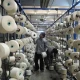 High power tariff worsens crisis in textile industry