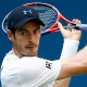 برطانوی ٹینس سٹار اینڈی مرے کا قطر ایکسن موبائل اوپن ٹینس دوسرے رائونڈ میں سفر تمام