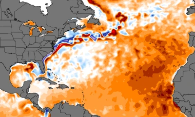 This chart of ocean temperatures should really scare you