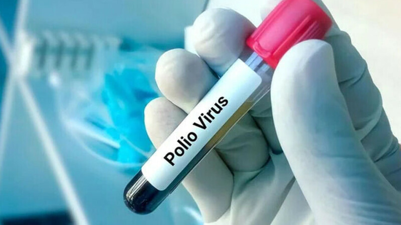 ملک کے 3اضلاع کے ماحولیاتی نمونوں میں پولیو وائرس کی تصدیق