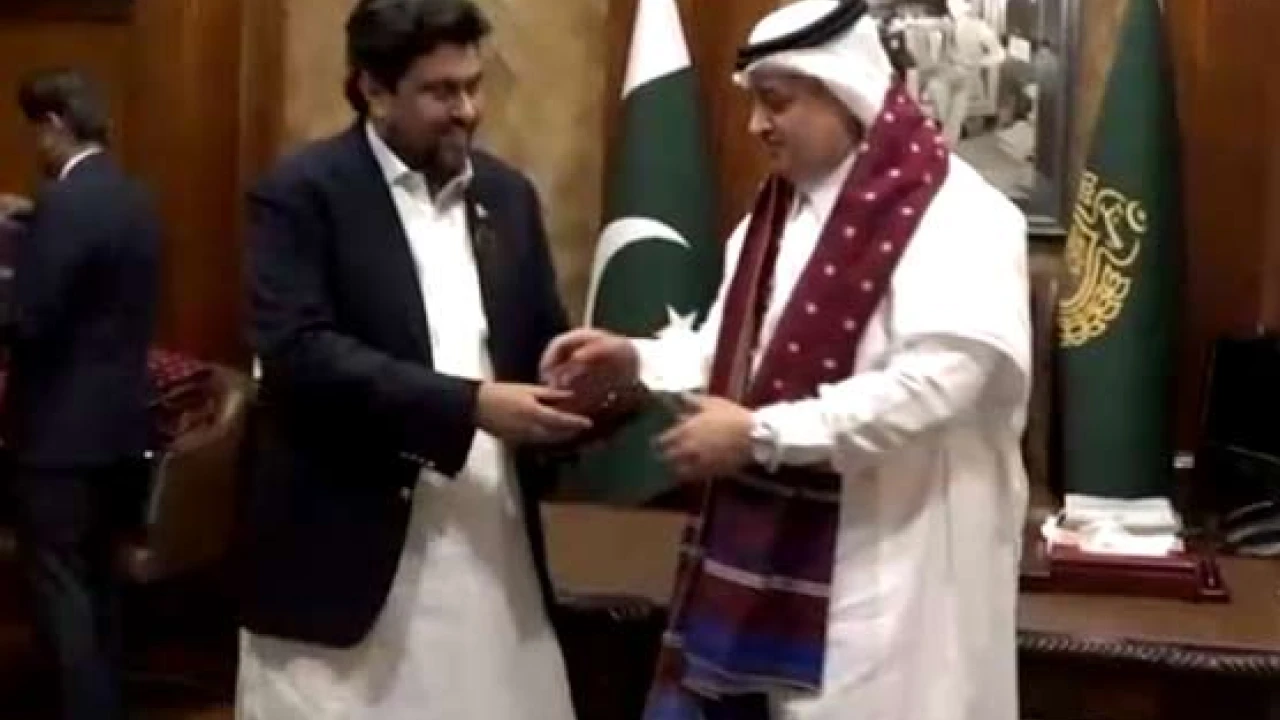 Governor Sindh discusses important issues with Saudi delegation