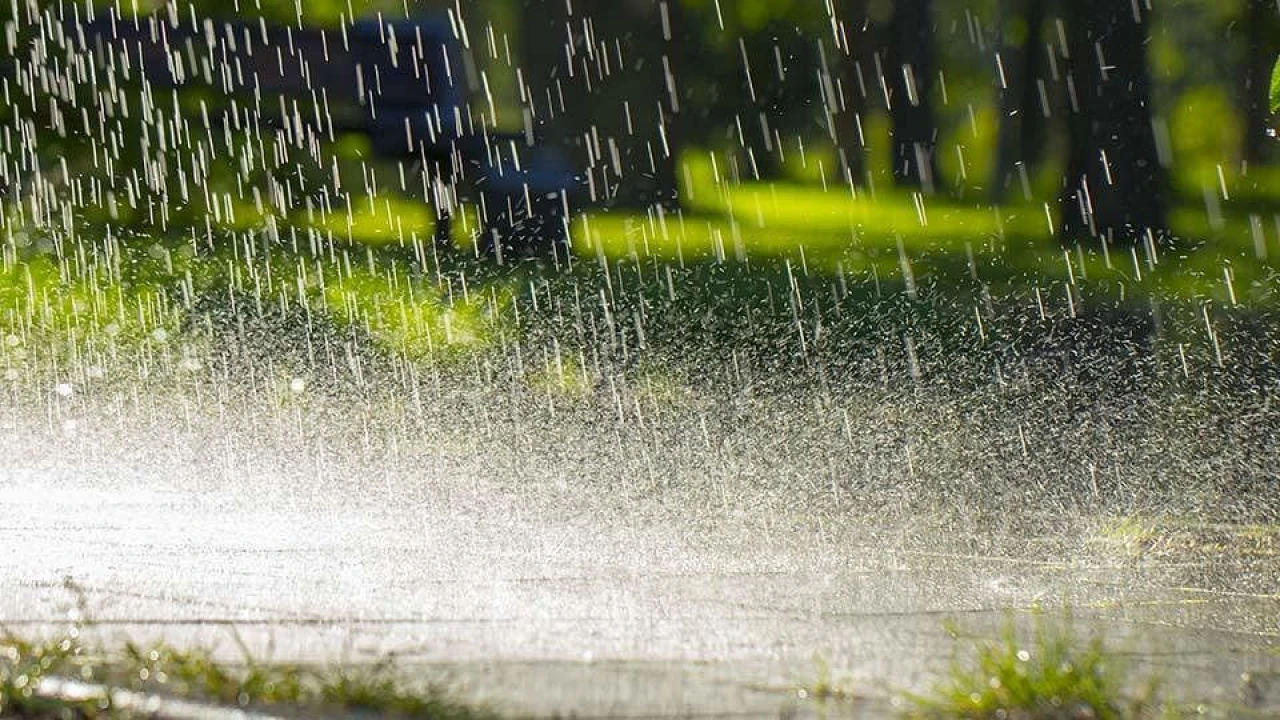 Rain-wind,thunderstorm likely at various parts of country: PMD