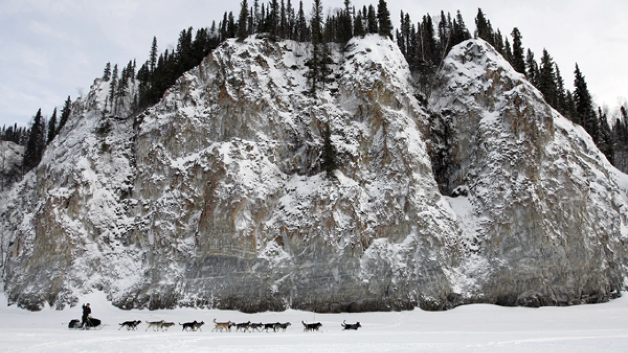 Snow Problem: The Case of the Mushing Madness