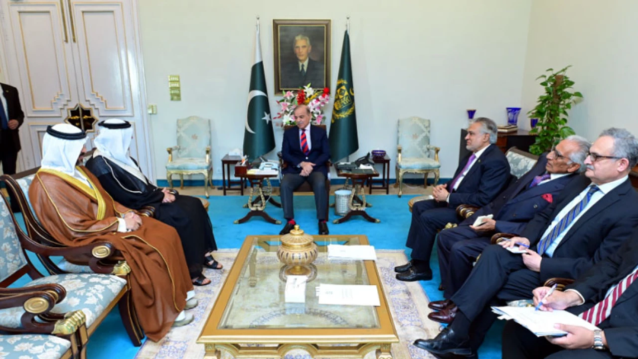 PM expresses desire to bolster Pak-UAE economic ties